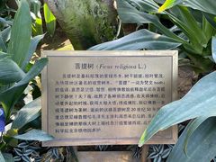 -国家植物园南园