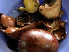 -康乃馨肉骨茶及煮炒