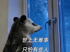 -麦当劳(世纪汇广场店)
