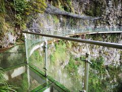 -水墨汀溪风景区