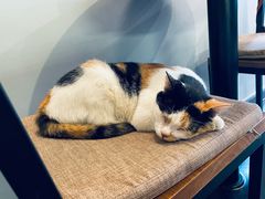 -转山咖啡(松柏社区店)