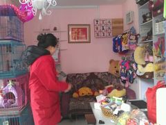 -唐小姐の猫狗洗护·购宠旗舰店(周浦万达店)
