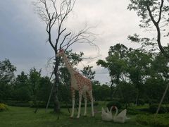 -悦江新远影城IMAX