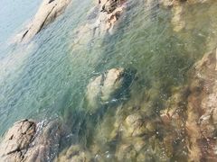 -兴城海滨风景区
