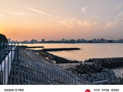 -上海滨江森林公园
