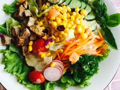 猪排沙拉-怪兽炸鸡.轻沙拉(锦州店)