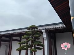 -王阳明故居