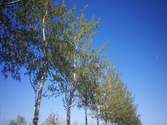 -北运河水利风景区