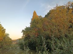 -昆山城市生态森林公园