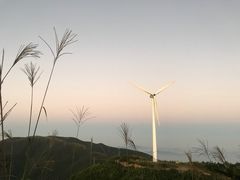 -东白山