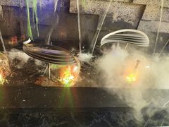 -CoCo都可(嘉定大融城店)