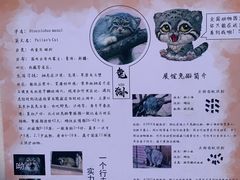 -青藏高原野生动物园