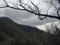 -王顺山国家森林公园