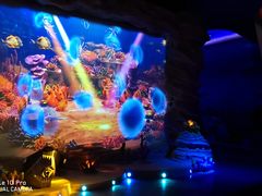 -青岛嘉年华主题乐园