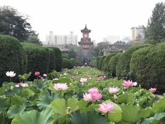 -四川大学(华西校区)