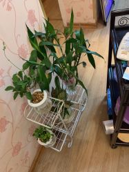 -本真坊美容美体沙龙