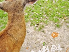 -良渚古城遗址公园