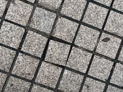-长阳创谷