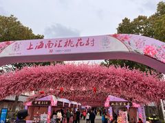 -南汇桃花村