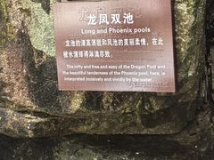 -大鄣山卧龙谷景区