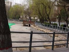 -莲湖公园