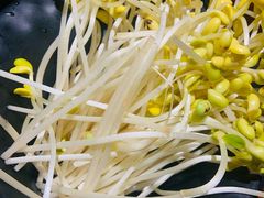 黄豆芽-莽子老火锅(大坪店)
