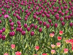 -长春公园(普阳街道)