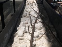 -喜茶(深圳东门1234店)
