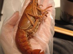 -红盔甲·小龙虾(天钥桥店)