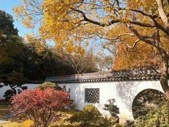 -上海醉白池公园