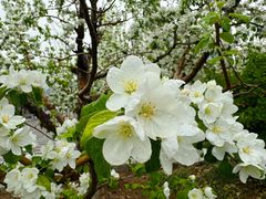 -中关村生命科学园