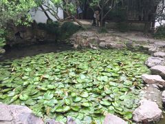-汇龙潭