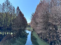 -厦门园林博览苑