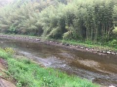 -莫干山风景区