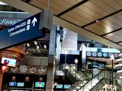 -达拉斯 沃斯堡国际机场