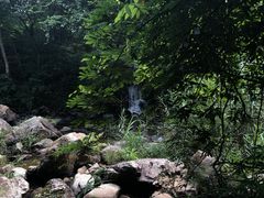 -广州市石门国家森林公园