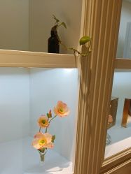 -维格美妍