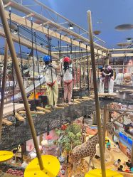 -卡通尼·Safari非洲探索乐园·生日会(金桥国际商业广场店)