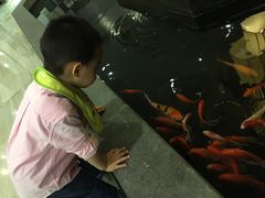 -品粹徽园·家常安徽菜