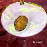 米其林三星黑珍珠二钻，上海蕞贵餐厅原来是TA