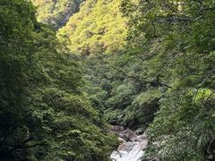 -大鄣山卧龙谷景区