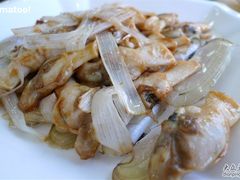 刀鲜~葱姜炒-海岛渔村大酒店(云霄路店)