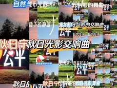 -凤岗南门山森林公园