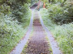 -青龙山国家森林公园
