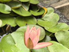 -雨花胜境