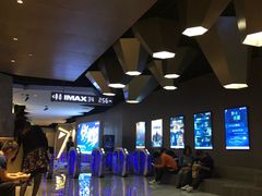 -星河寰宇IMAX影城(星河WORLD·COCO Park店)