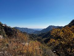-大岭沟猕猴桃谷风景区