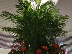 -LANN I 蘭 SPA(陆家嘴中心店)