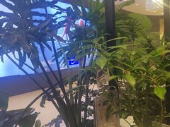 -THE WOODS 简餐 (国贸商城店)