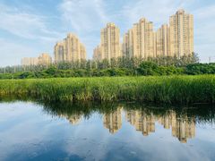 -前关湿地公园